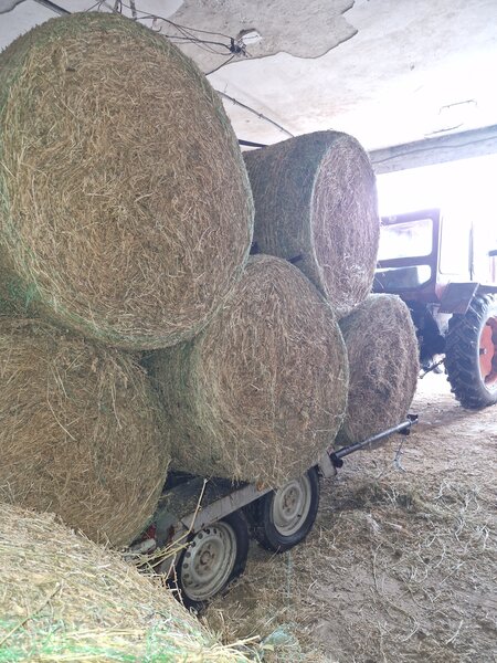 Vand baloti lucerna.